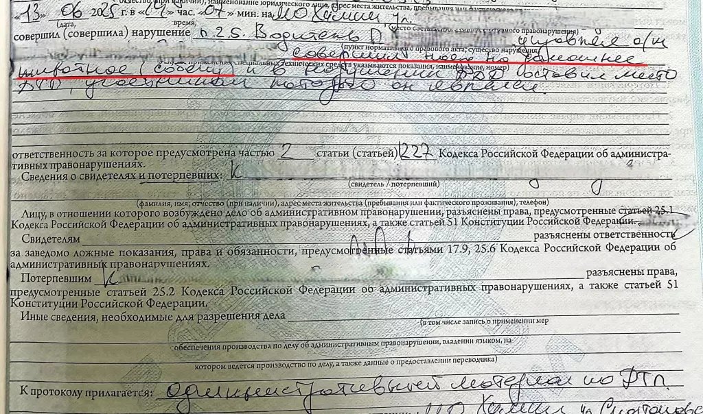 Протокол по делу об оставлении места ДТП с собакой